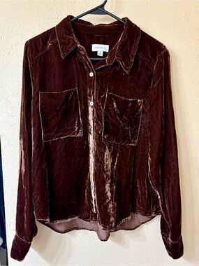 Evereve Velvet Button-Up Blouse in Deep Brown